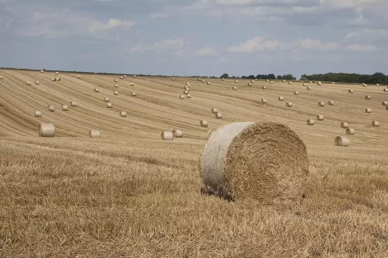 Megszűnt a mezőőri járulék