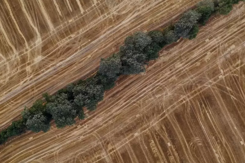 Hirdetmény a Nemzeti Földalapba tartozó földrészek értékesítéséről