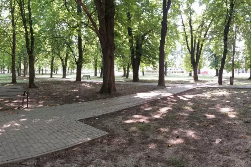 Megkezdődik a Szent Anna temető padjainak és hulladékgyűjtő edényeinek felújítása