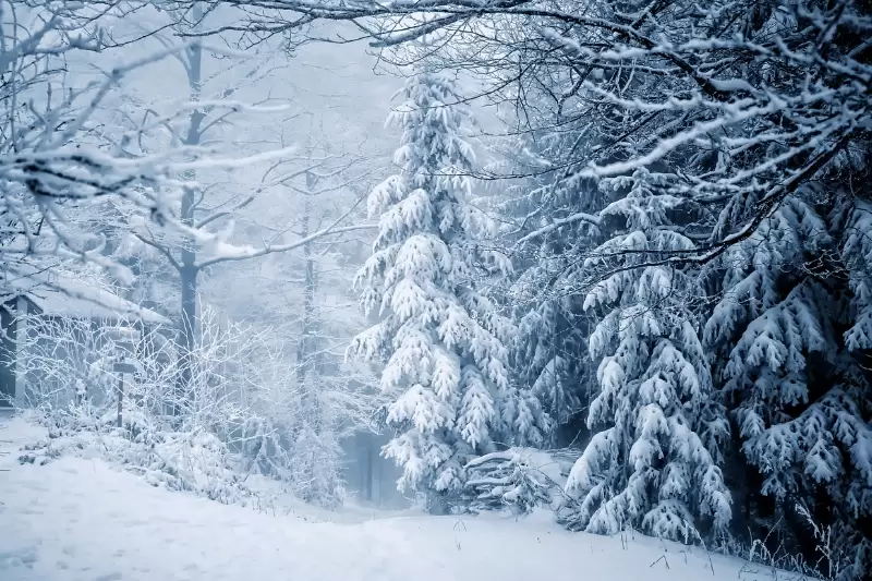 Lakossági tájékoztató 