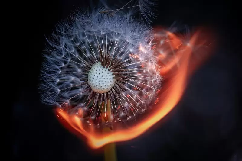 Szabadtéri tűzesetek megelőzése