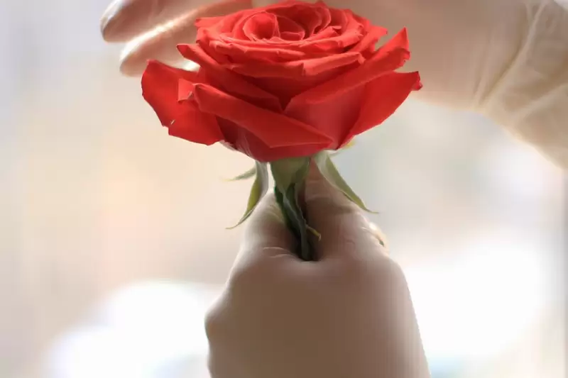 Magyar Ápolók Napja