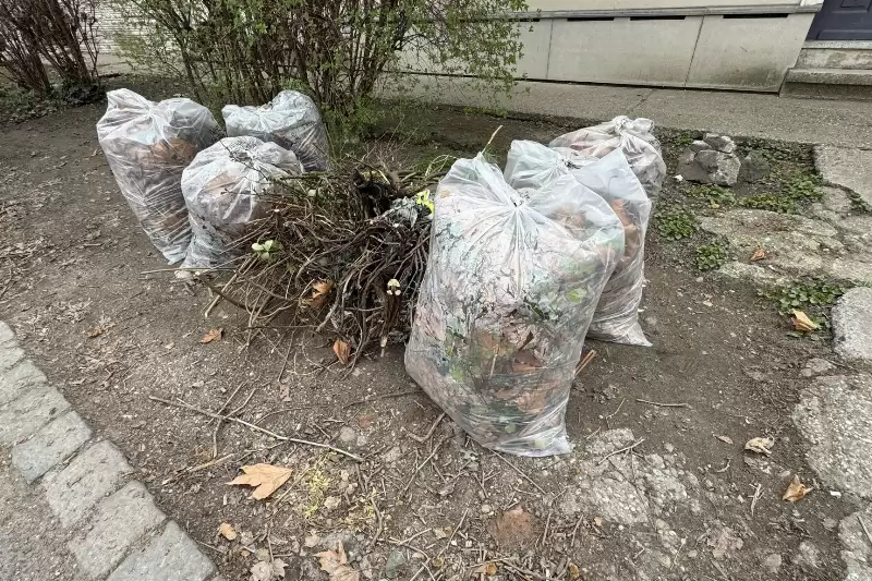 Extra zöldjárat március elején