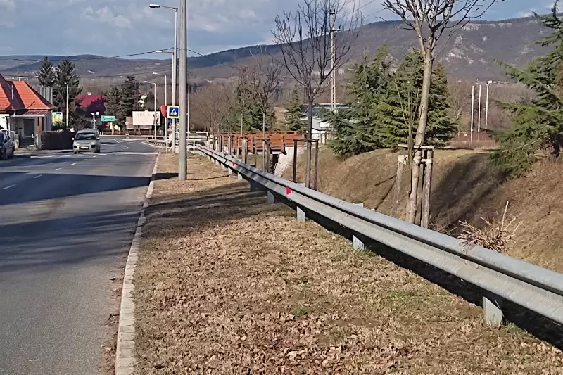 Faáttelepítési munkálatok