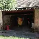 Nyilvános versenytárgyalás